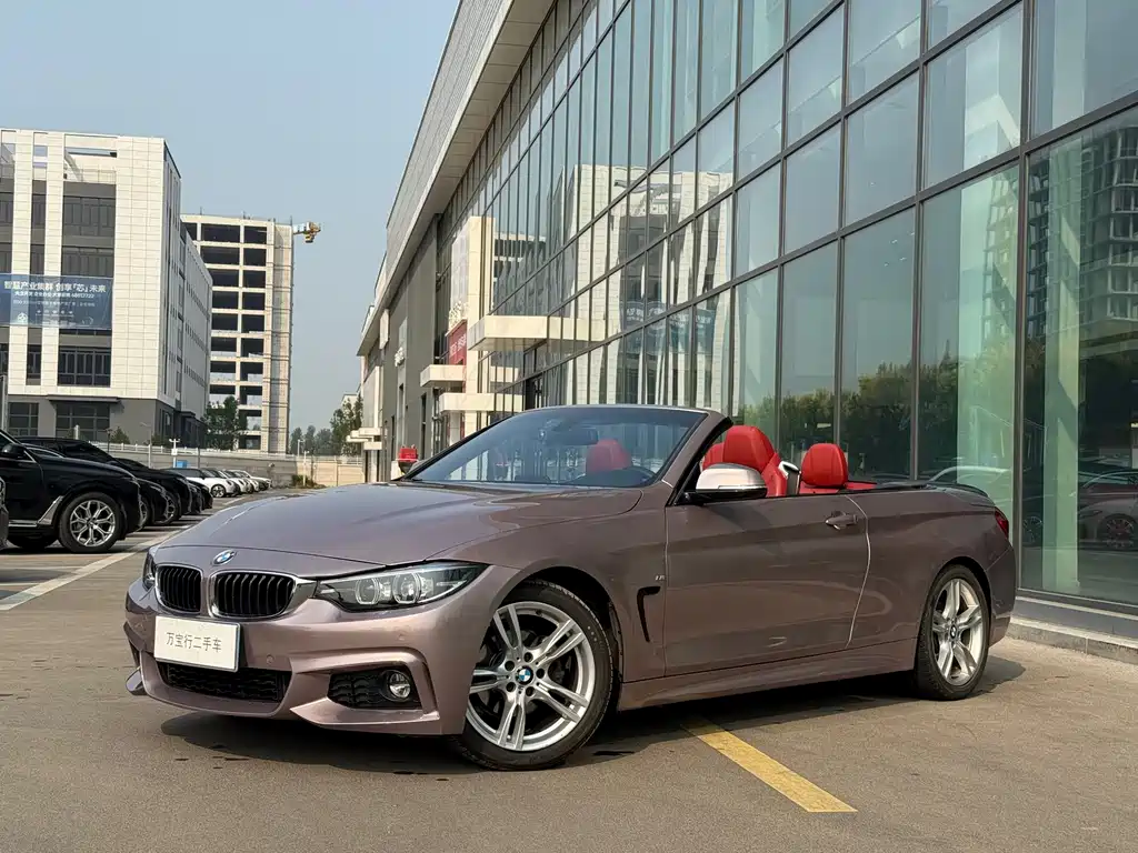 BMW 4 Series — миниатюра 4