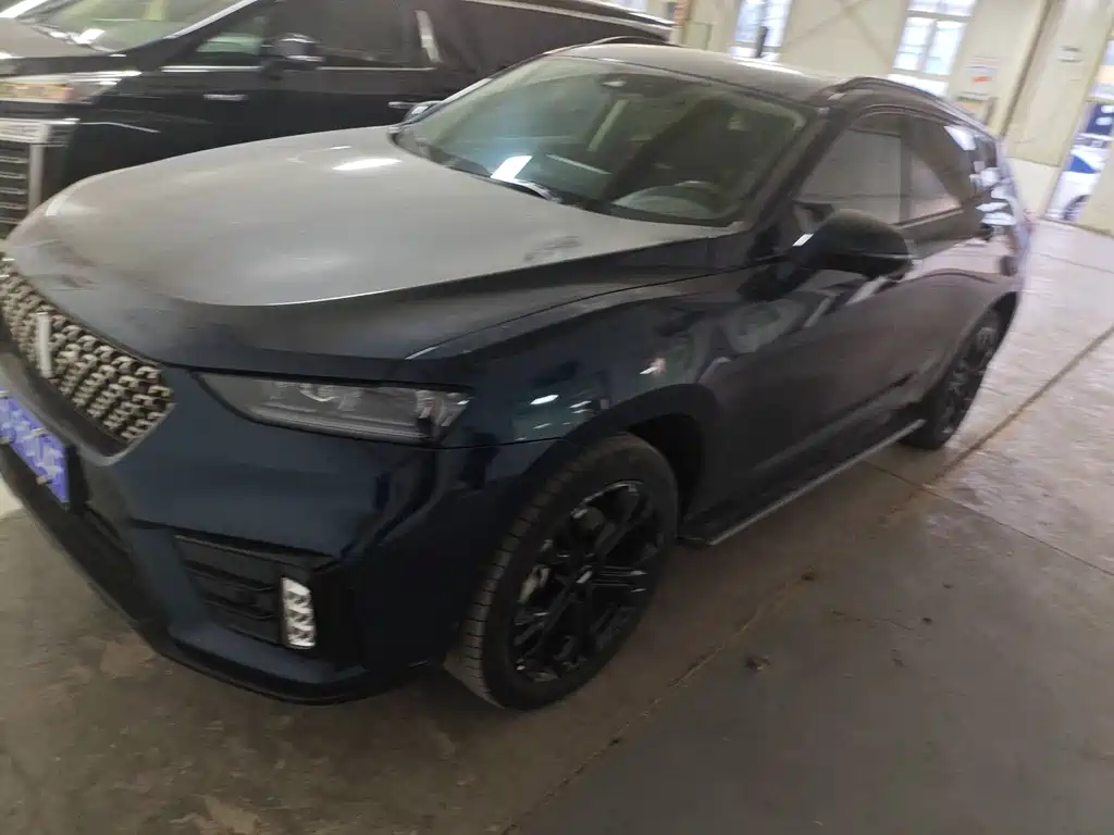 WEI PAI WEI BRAND VV7