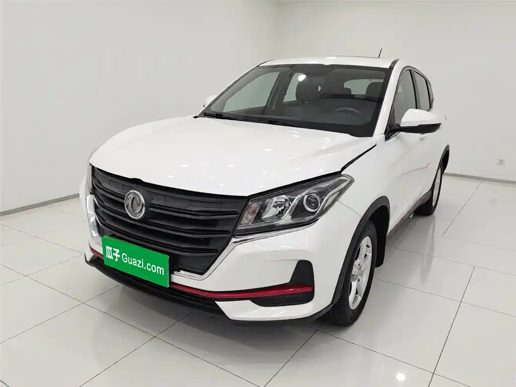 Fengguang Fengguang 500 2021