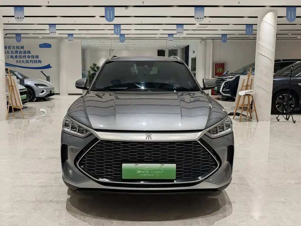 BYD PLUS New Energy — миниатюра 2
