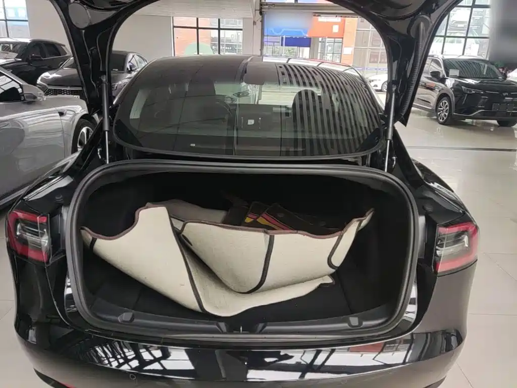 Tesla Model 3 — миниатюра 19