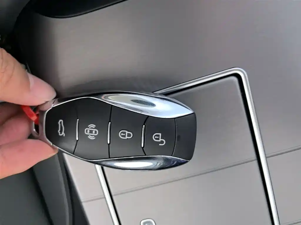 Hongqi HS7 PHEV 2024 2.0T PHEV 6 мест