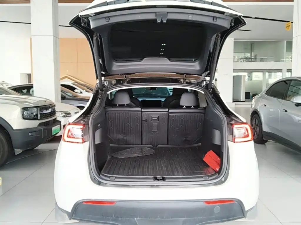 Tesla Model Y — миниатюра 19
