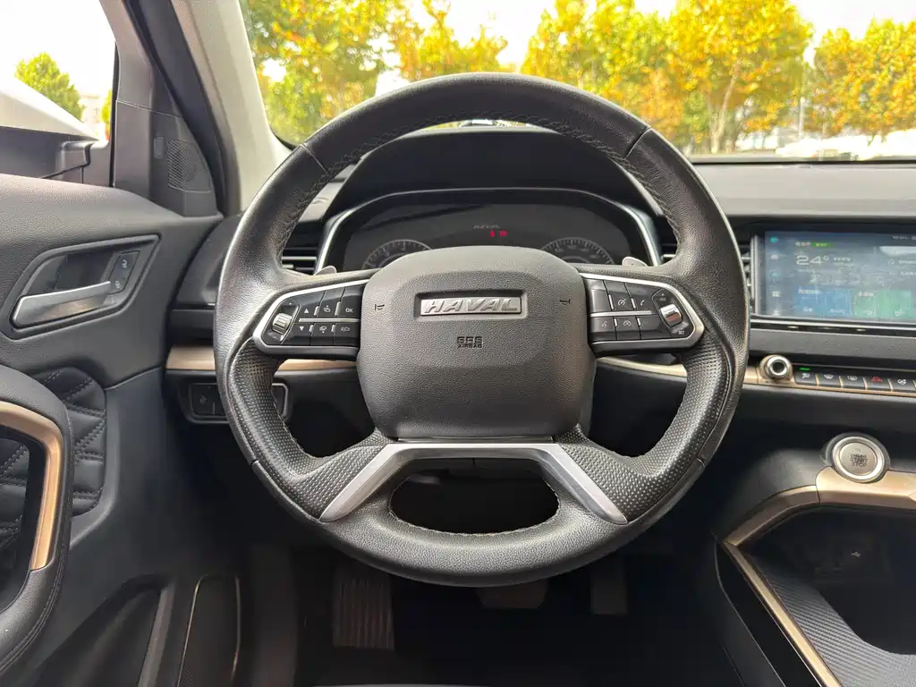 Haval H6 — миниатюра 12