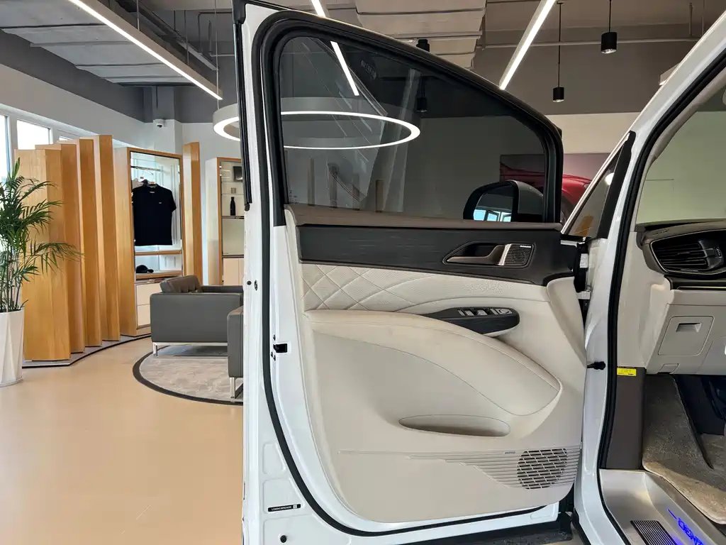 Denza Denza D9 — миниатюра 7