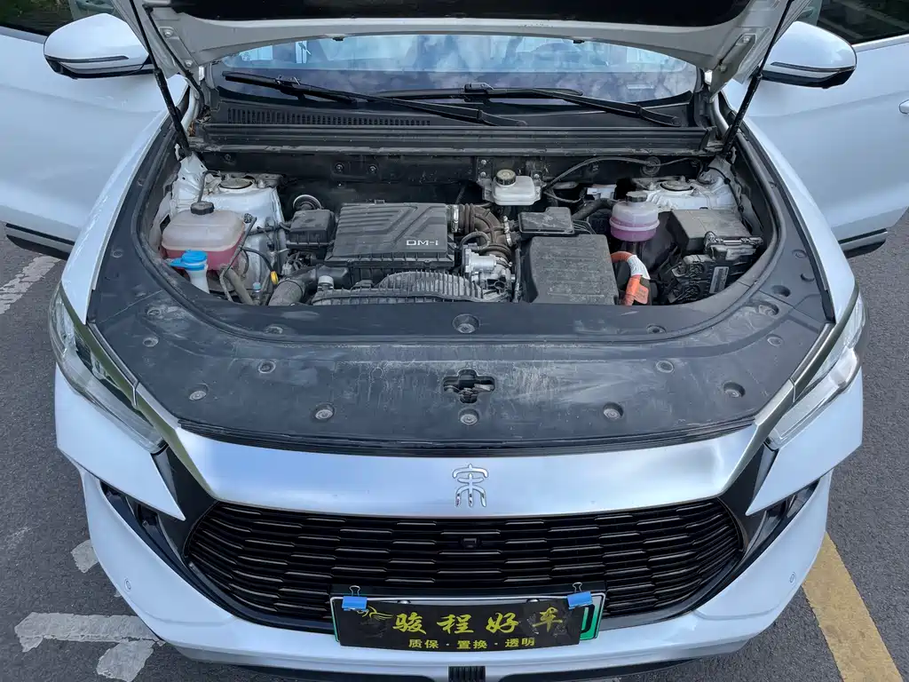 BYD Pro New Energy — миниатюра 10