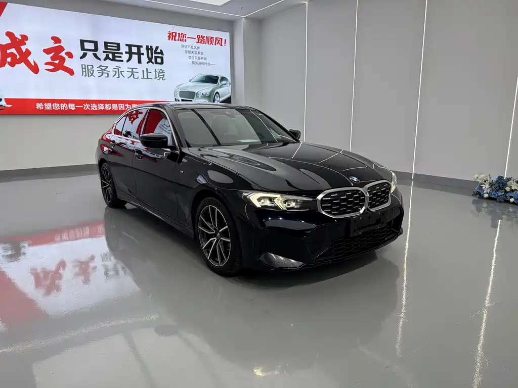 BMW 3 Series — миниатюра 3