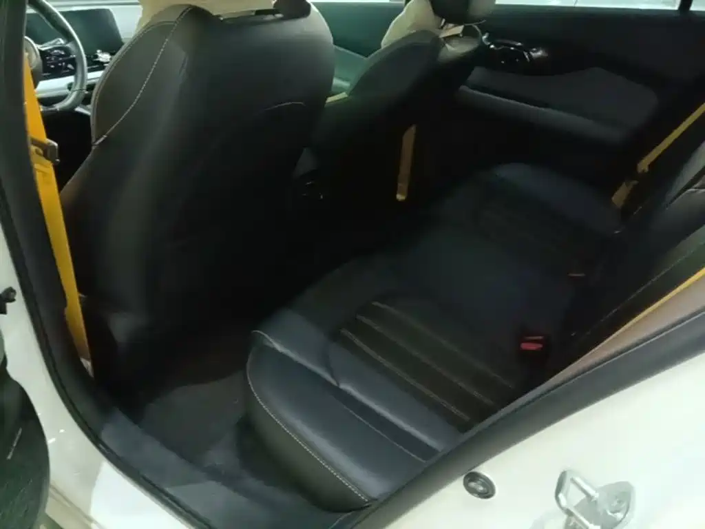 GAC Motor Shadow Leopard — миниатюра 17