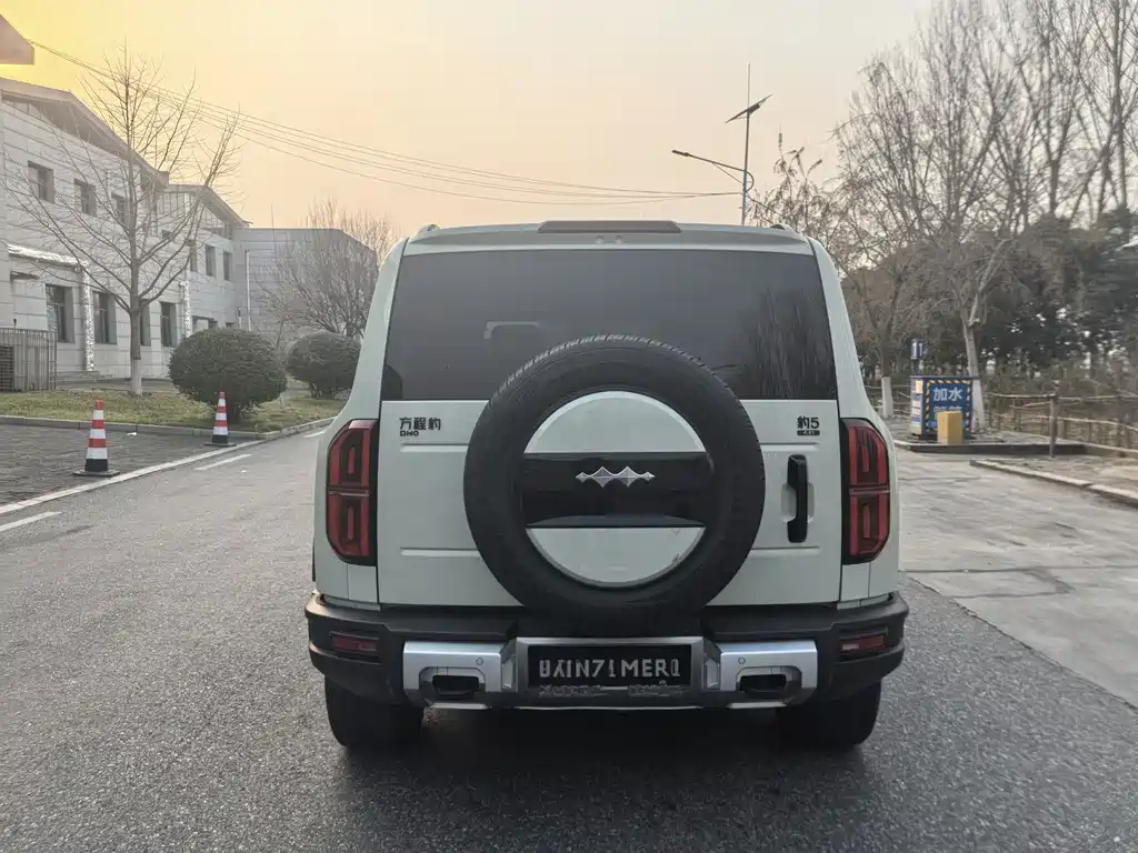 FANG CHENG BAO LEOPARD 5