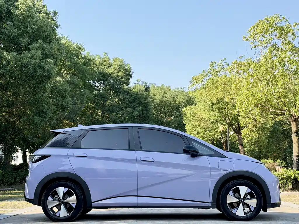 BYD Dolphin — миниатюра 5