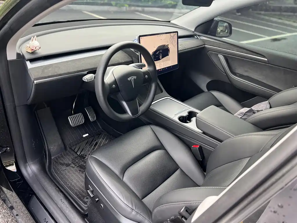 Tesla Model Y — миниатюра 8