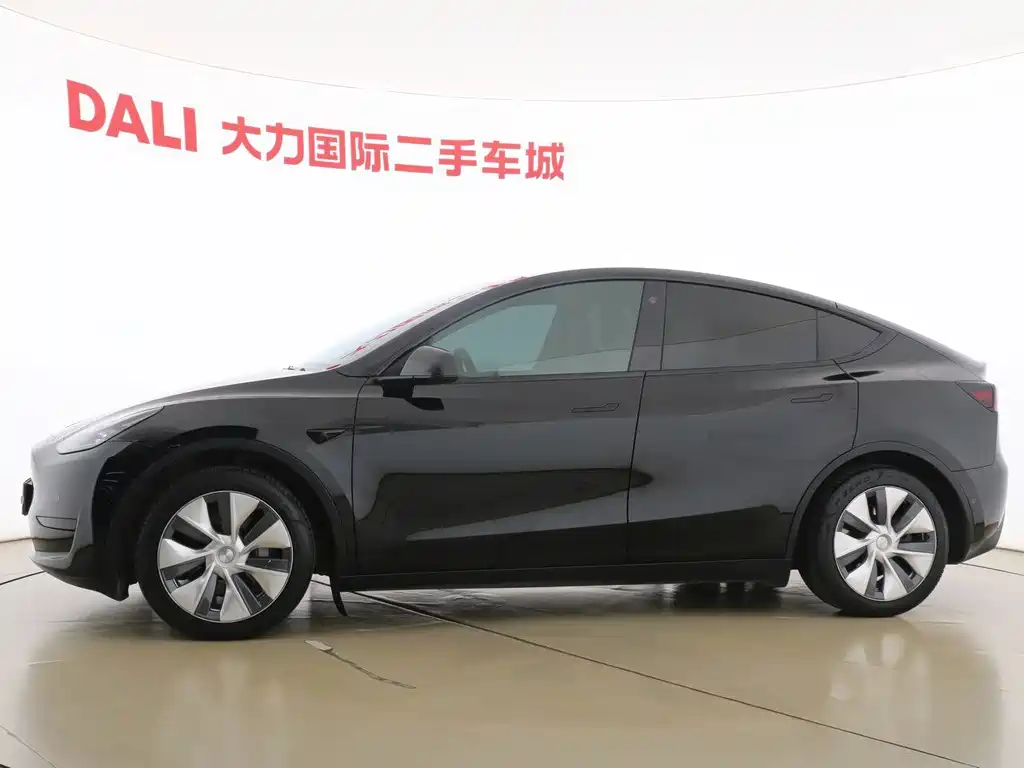 Tesla Model Y — миниатюра 15