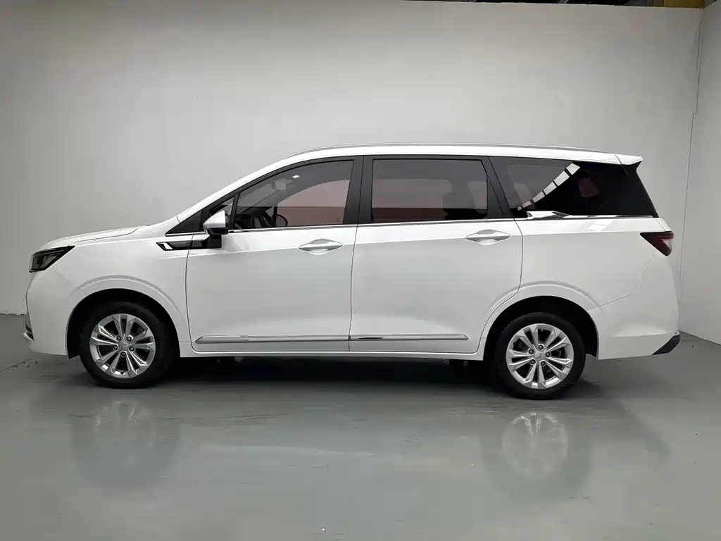 Wuling Jiachen — миниатюра 3