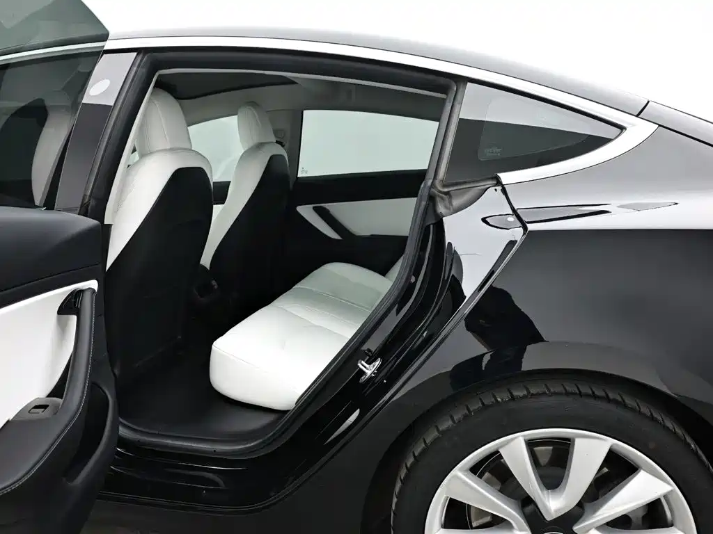 Tesla Model 3 — миниатюра 14
