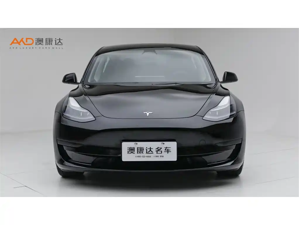 Tesla Model Y — миниатюра 2