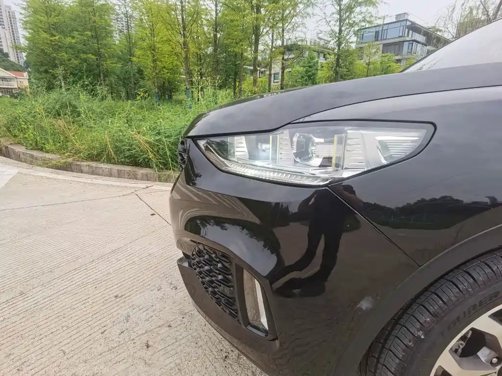 Wey Wey VV6 — миниатюра 19