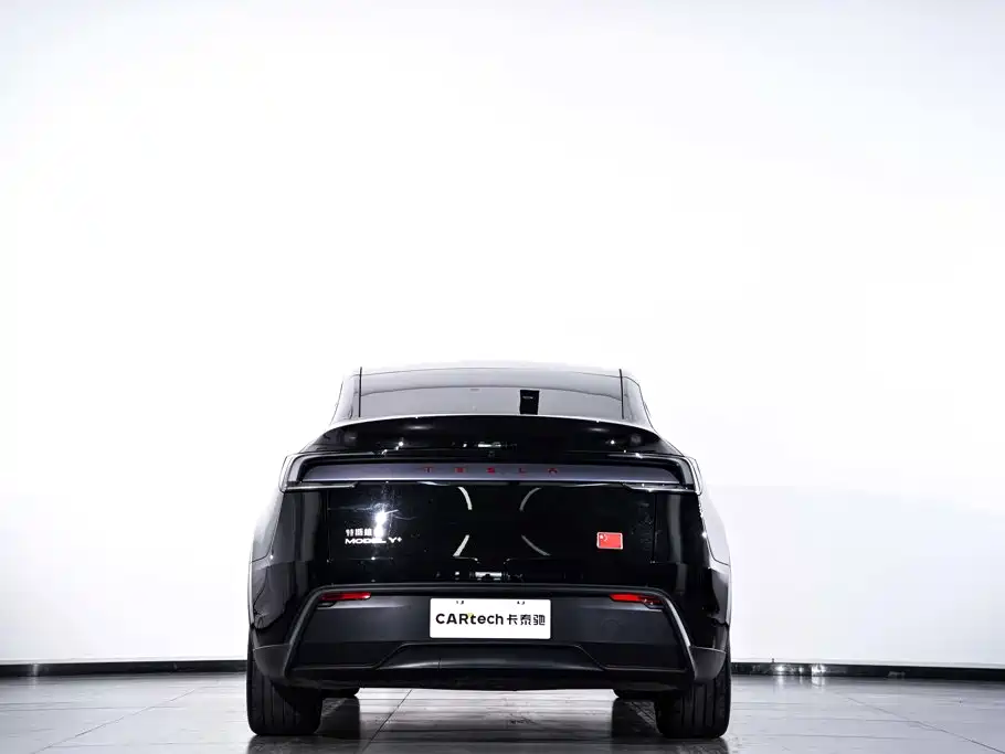 Tesla Model Y — миниатюра 7