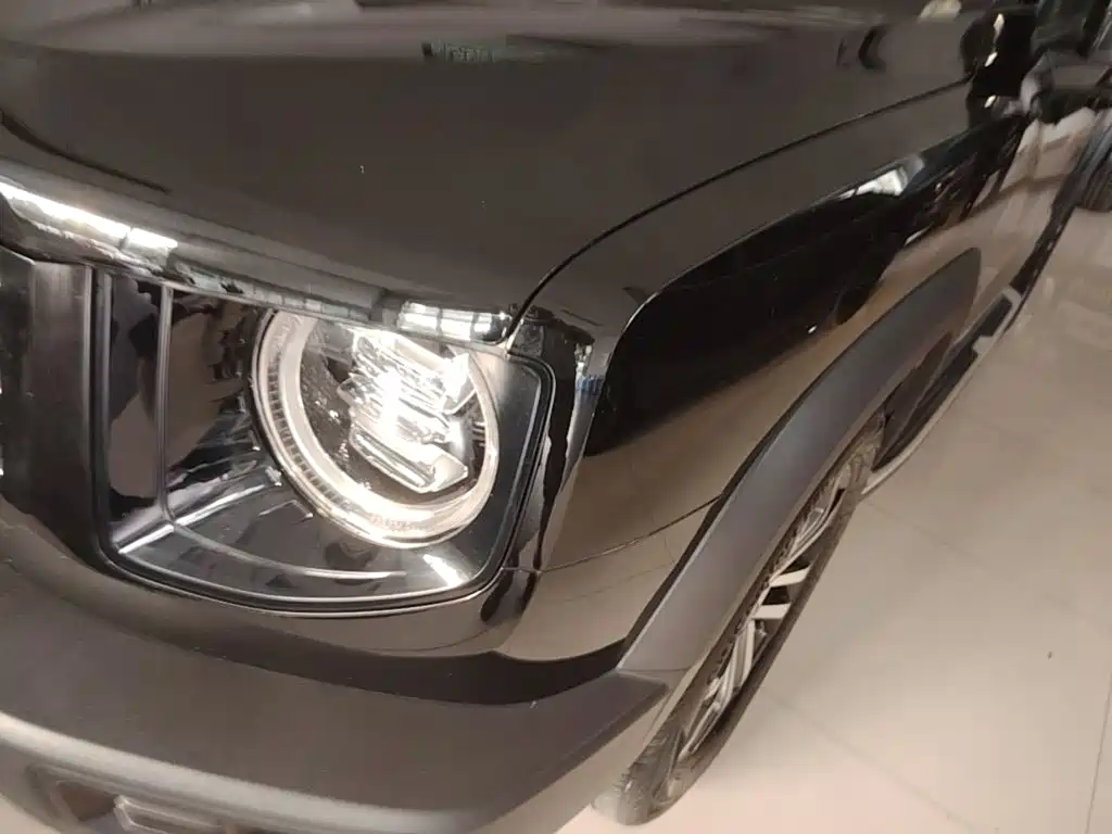 Haval Big Dog — миниатюра 24