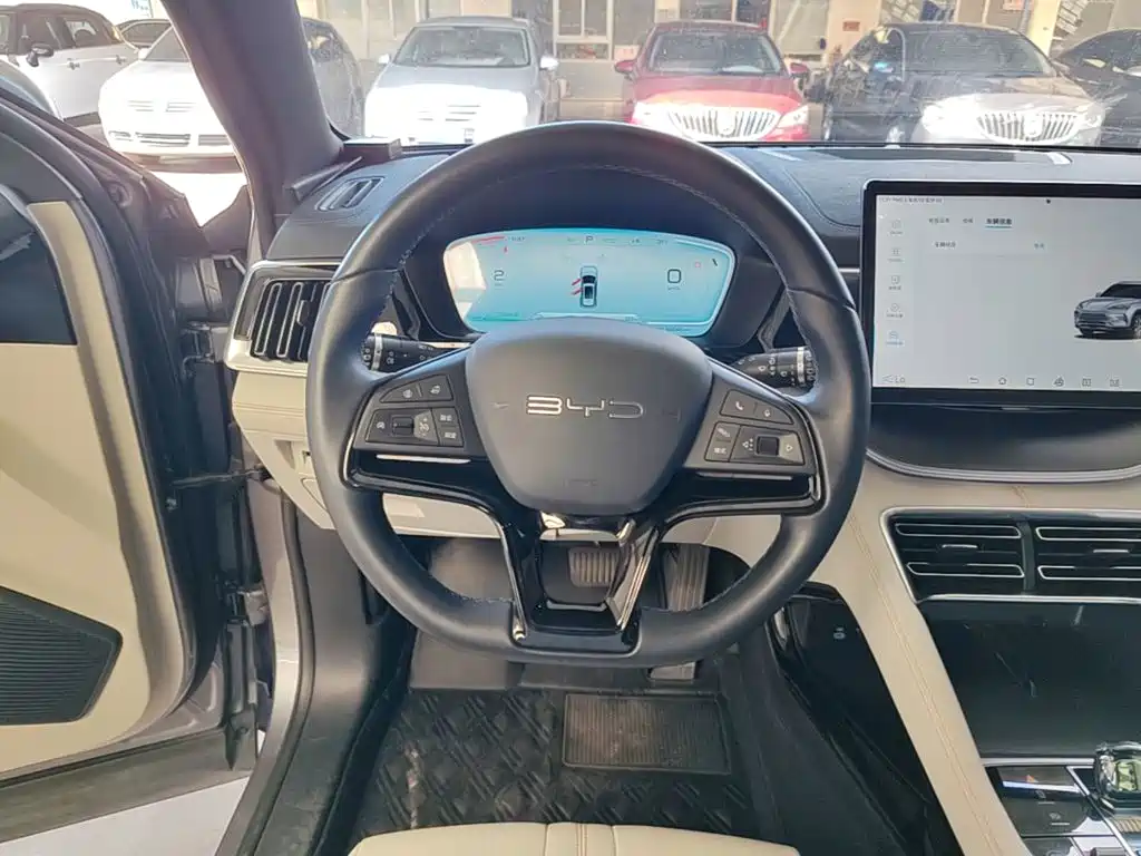 BYD PLUS New Energy — миниатюра 11