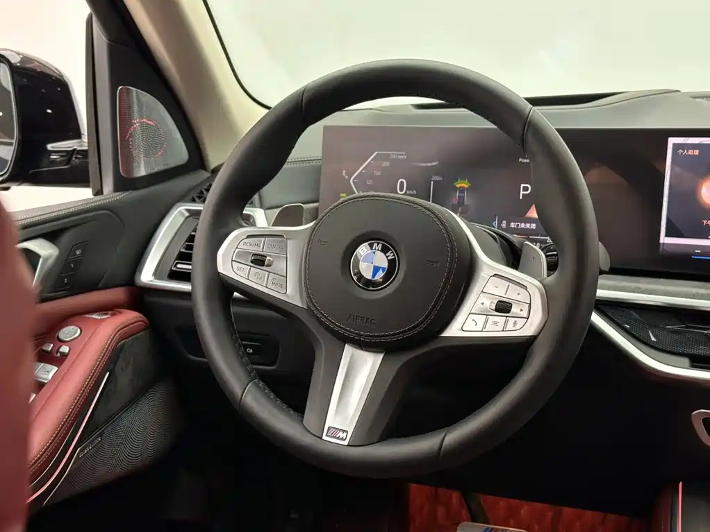 BMW X5 — миниатюра 12