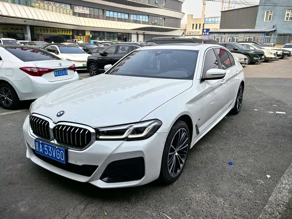 BMW 5 Series 2021