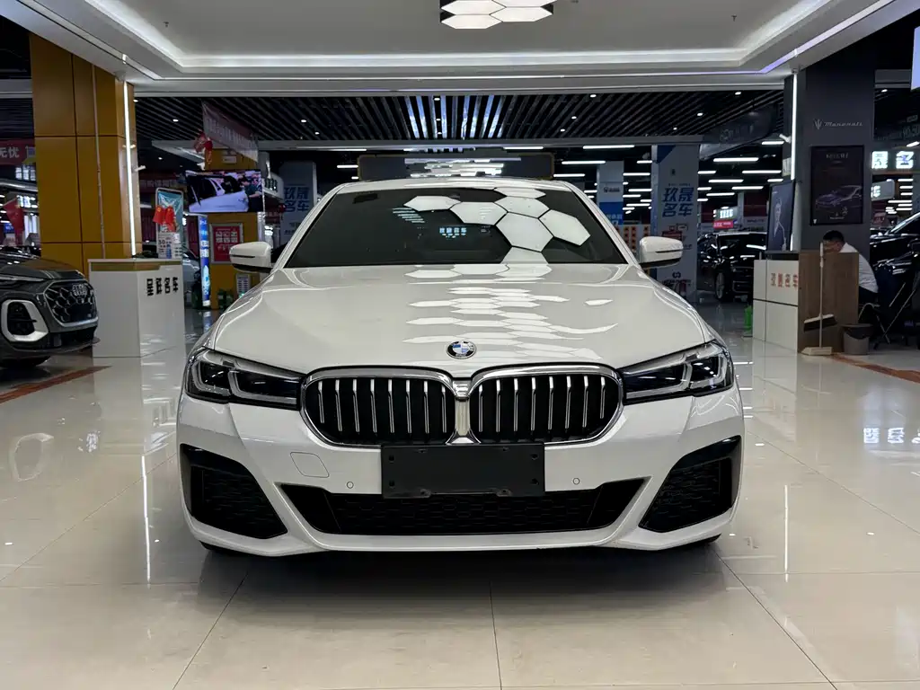 BMW 5 Series — миниатюра 2