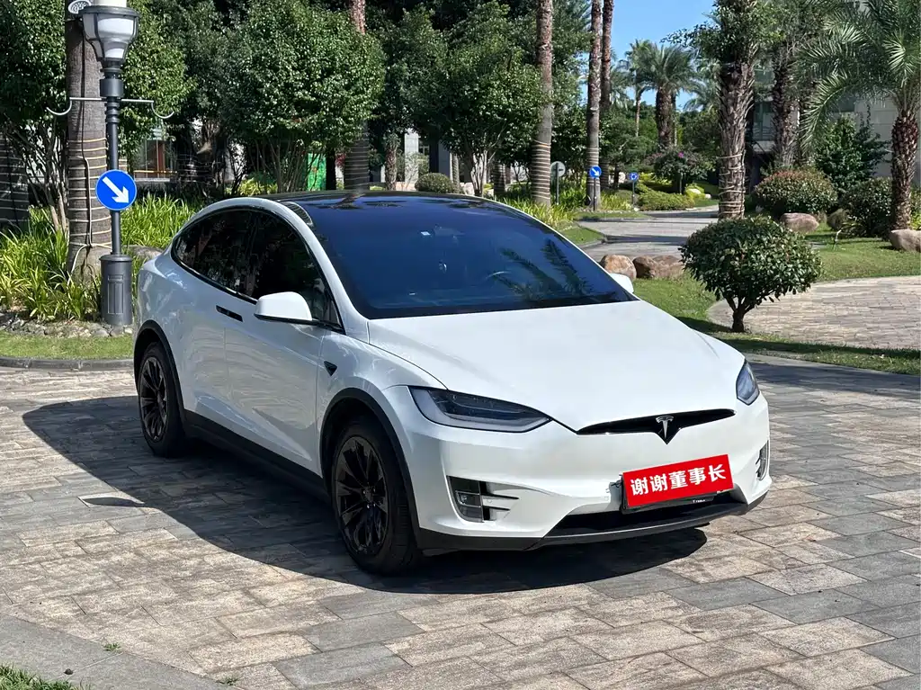 Tesla Model X — миниатюра 3