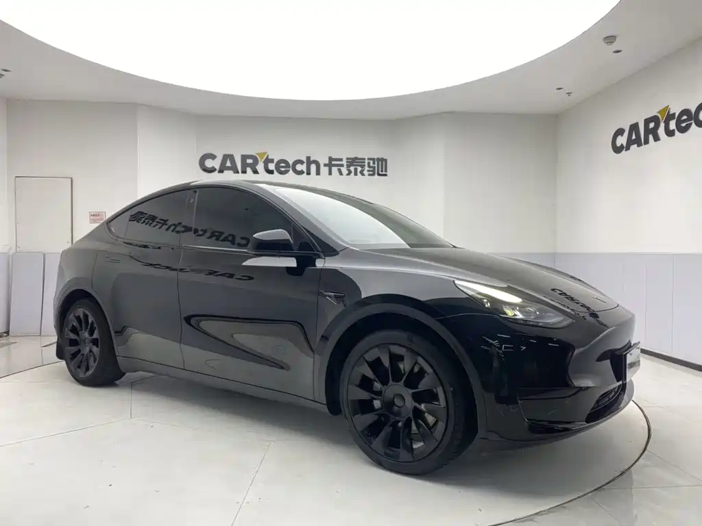 Tesla Model Y — миниатюра 2