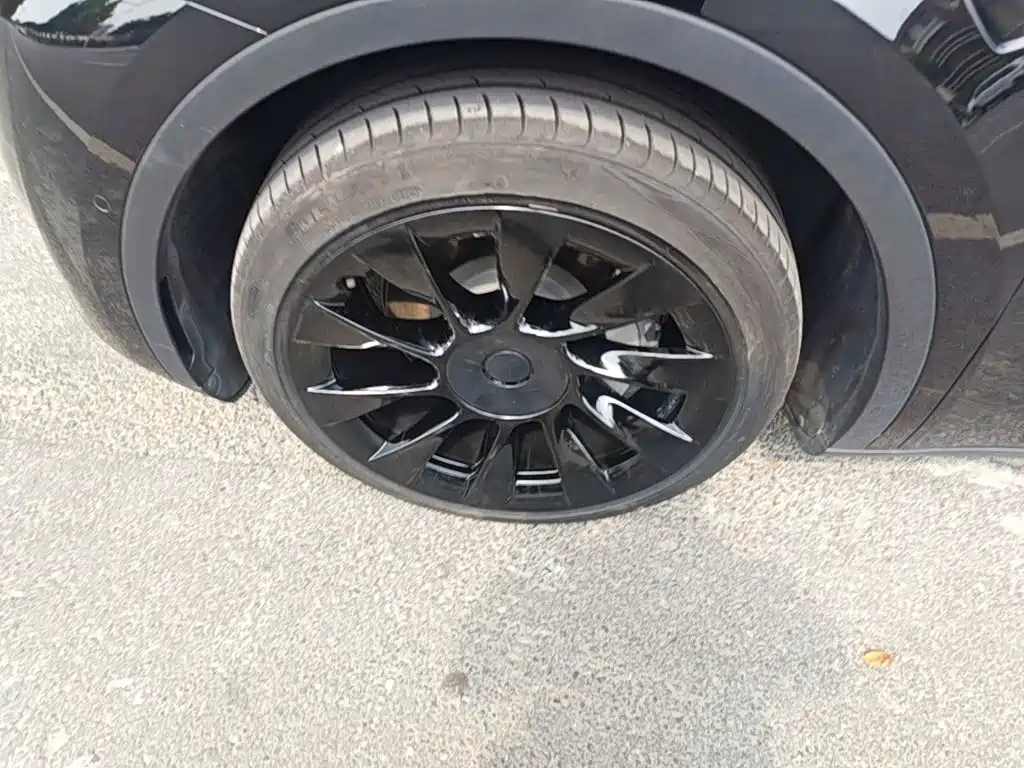 Tesla Model Y — миниатюра 23