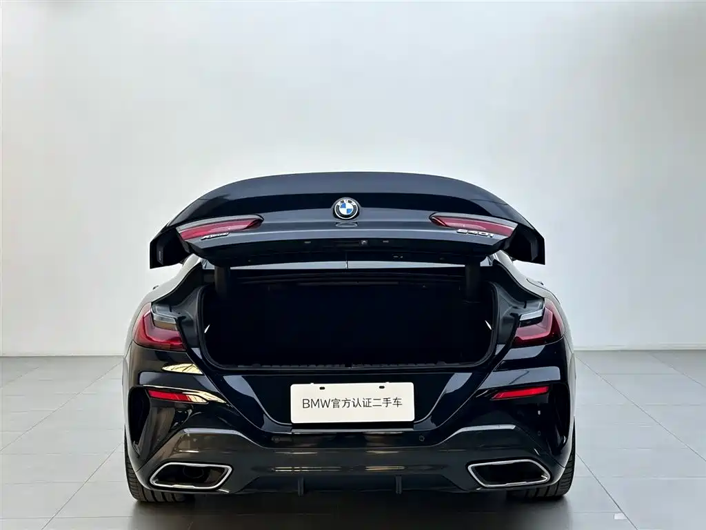 BMW 8 Series — миниатюра 6