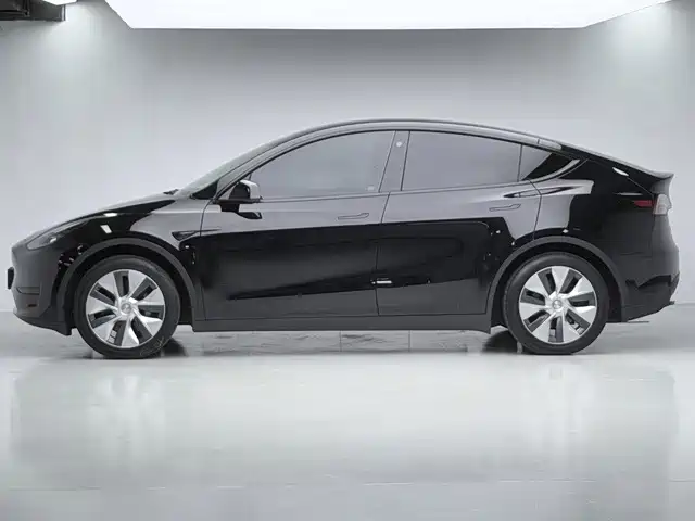Tesla Model Y — миниатюра 9