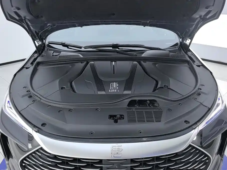 BYD Tang New Energy — миниатюра 10