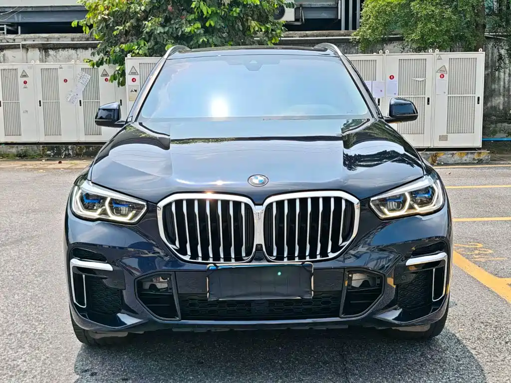 BMW X5 — миниатюра 2