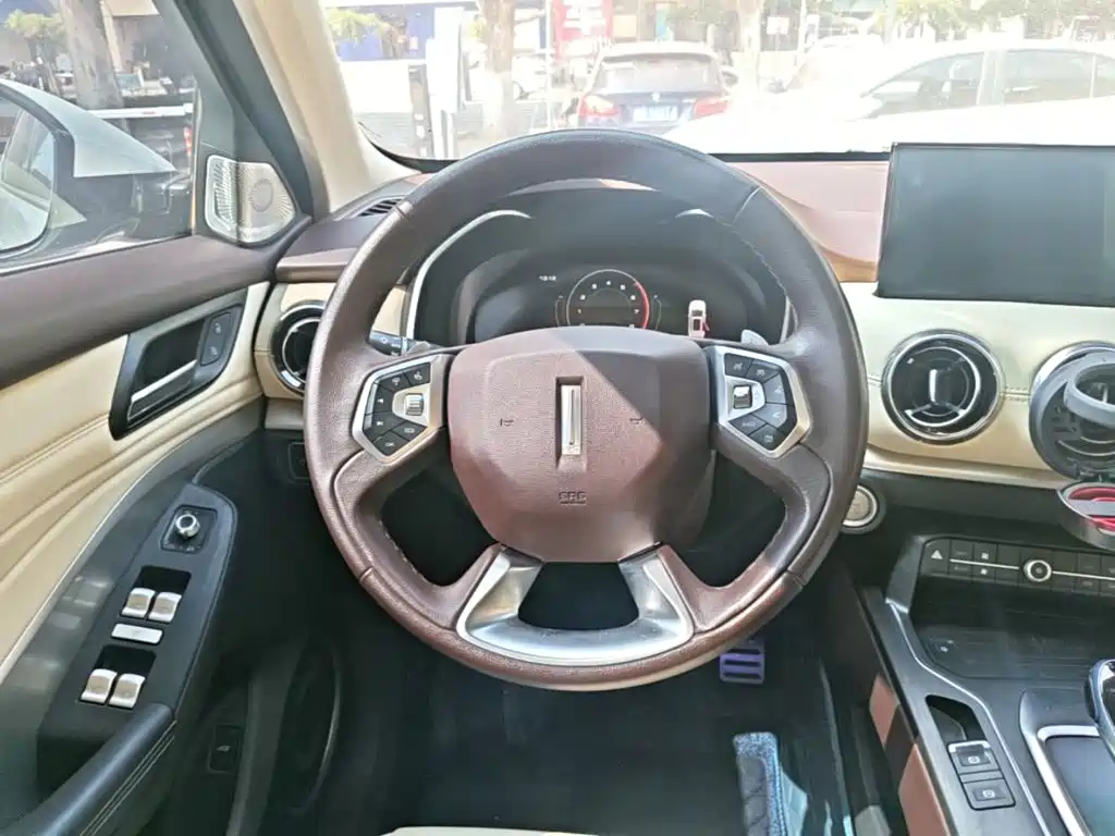 Wey Wey VV6 — миниатюра 11