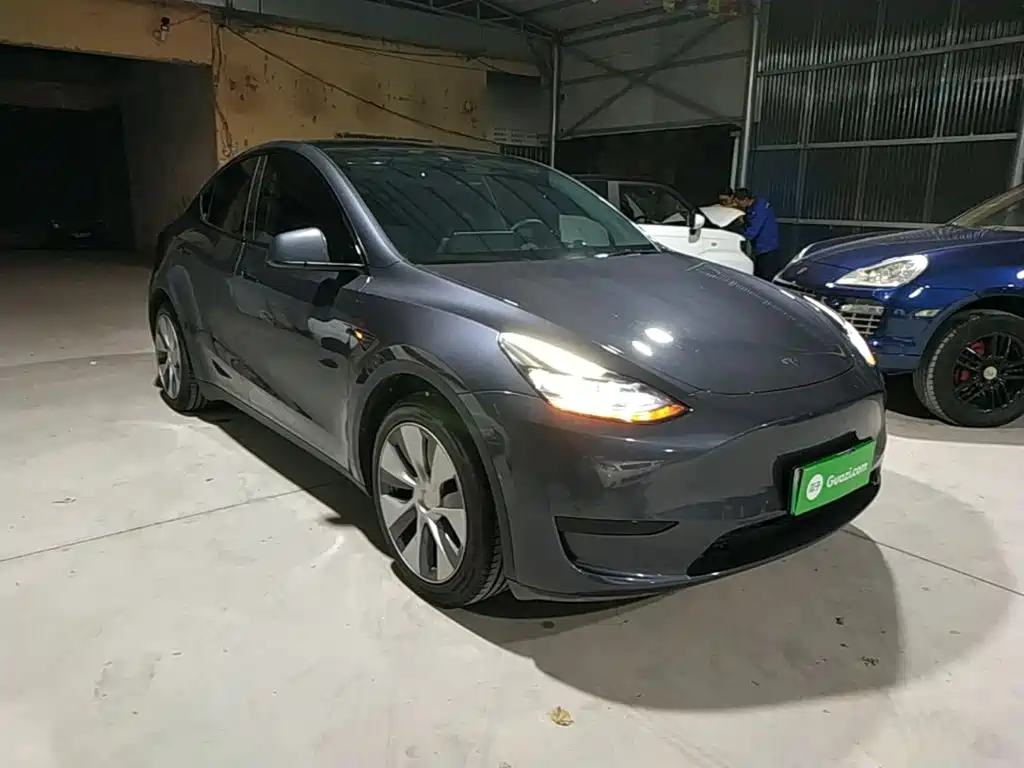 Tesla Model Y — миниатюра 4