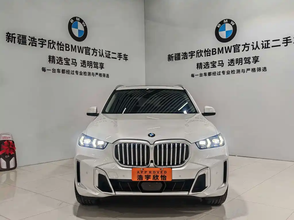 BMW X5 — миниатюра 2
