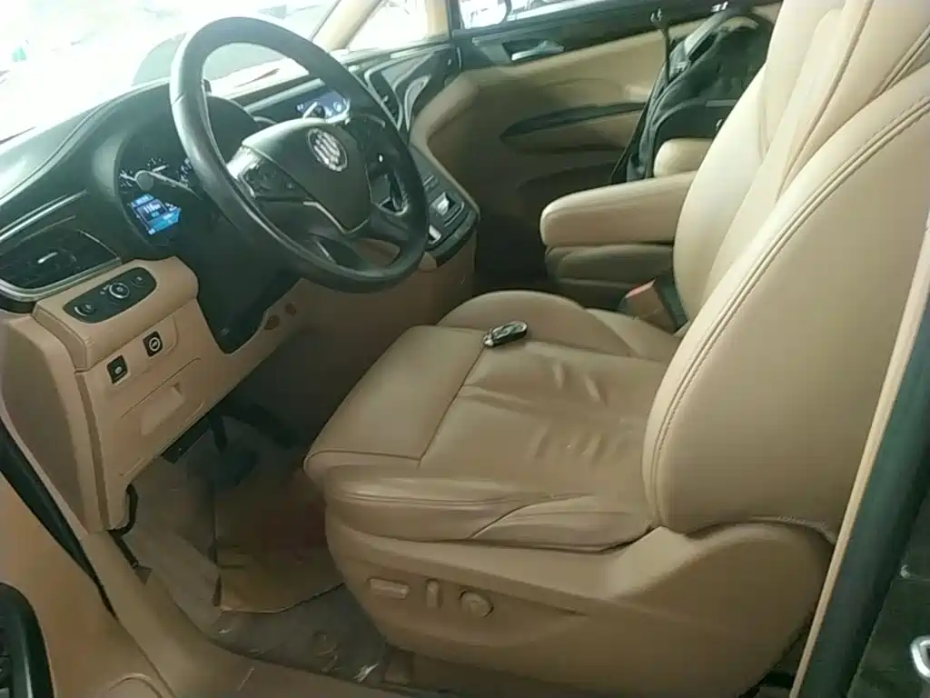 Buick GL8 — миниатюра 15