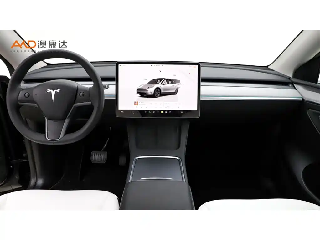 Tesla Model Y — миниатюра 5