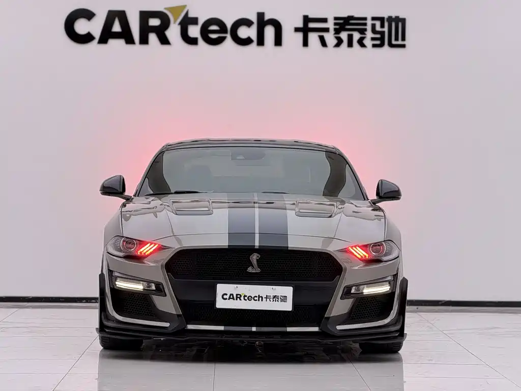 Ford Mustang — миниатюра 2