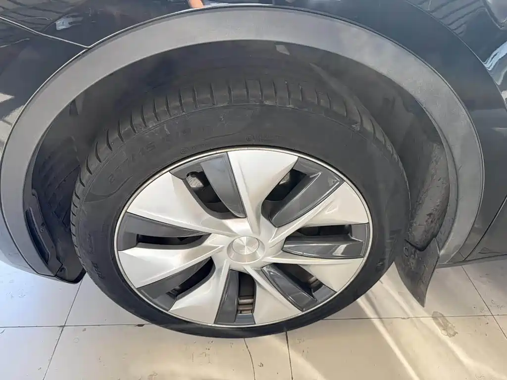 Tesla Model Y — миниатюра 5