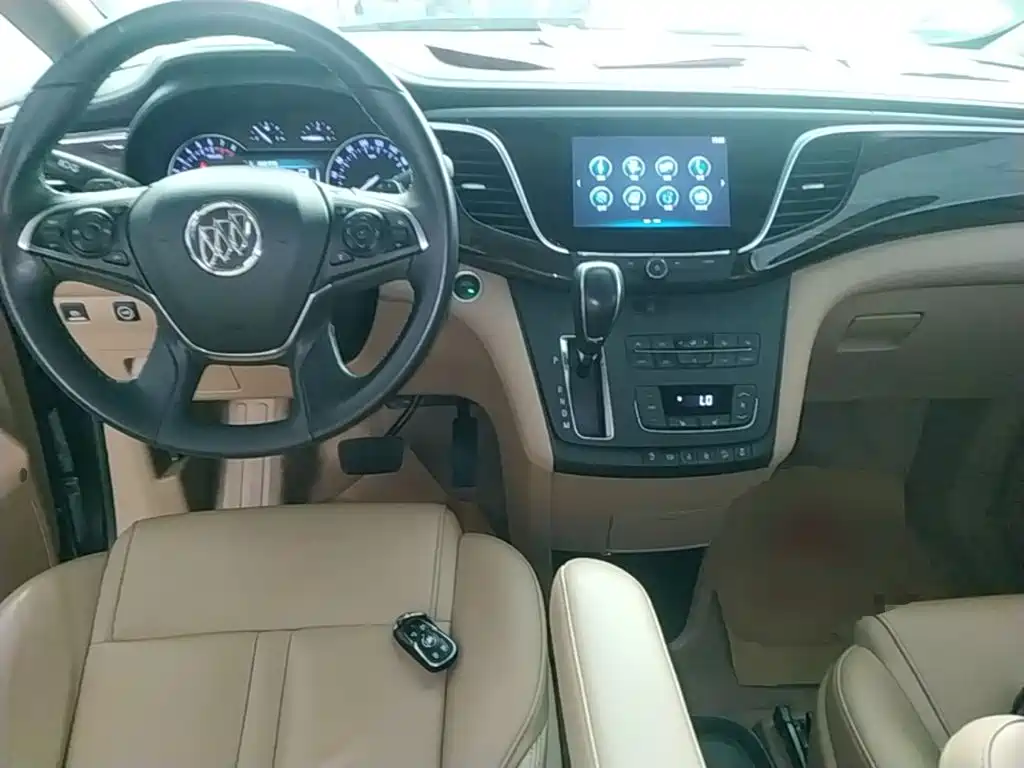 Buick GL8 — миниатюра 10