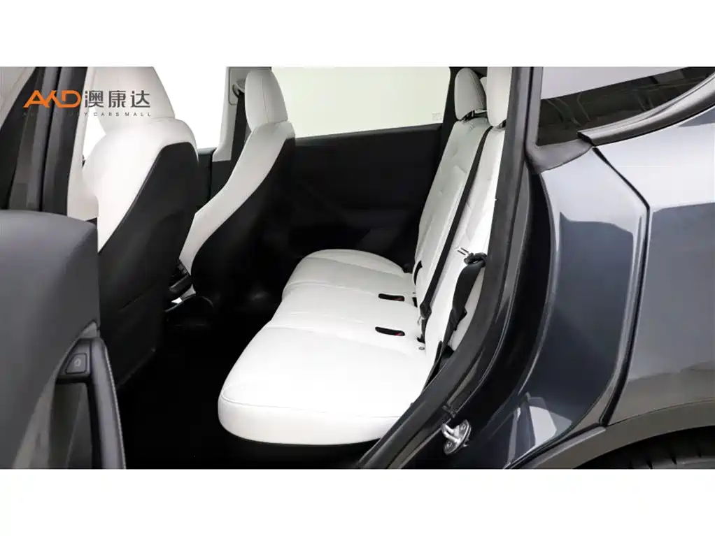 Tesla Model Y — миниатюра 7