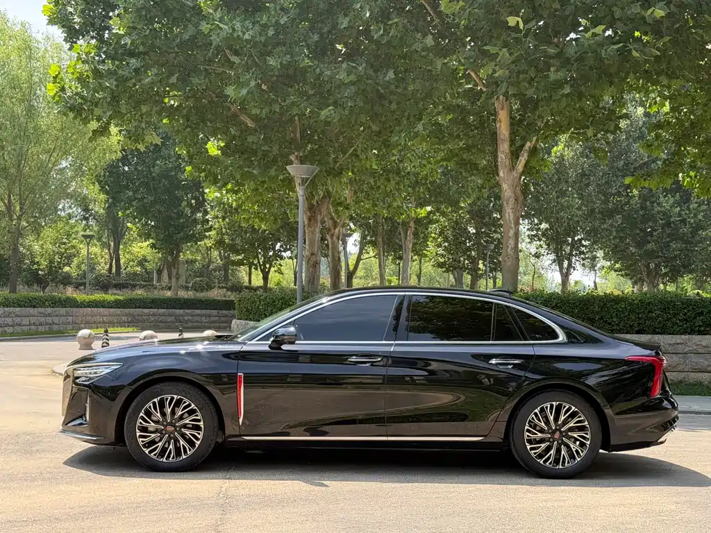 Hongqi H5 2024 2.0T AT