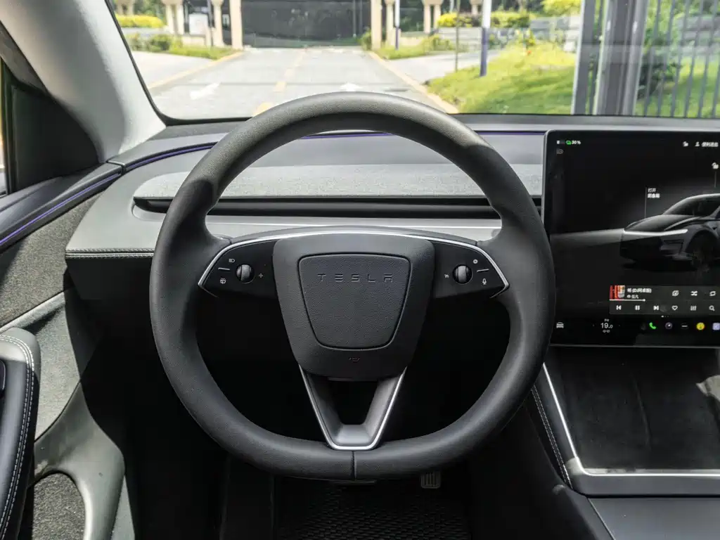 Tesla Model Y — миниатюра 11