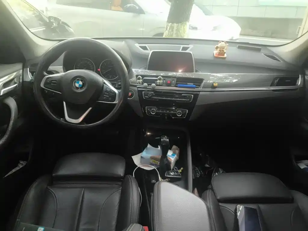 BMW X1 — миниатюра 10