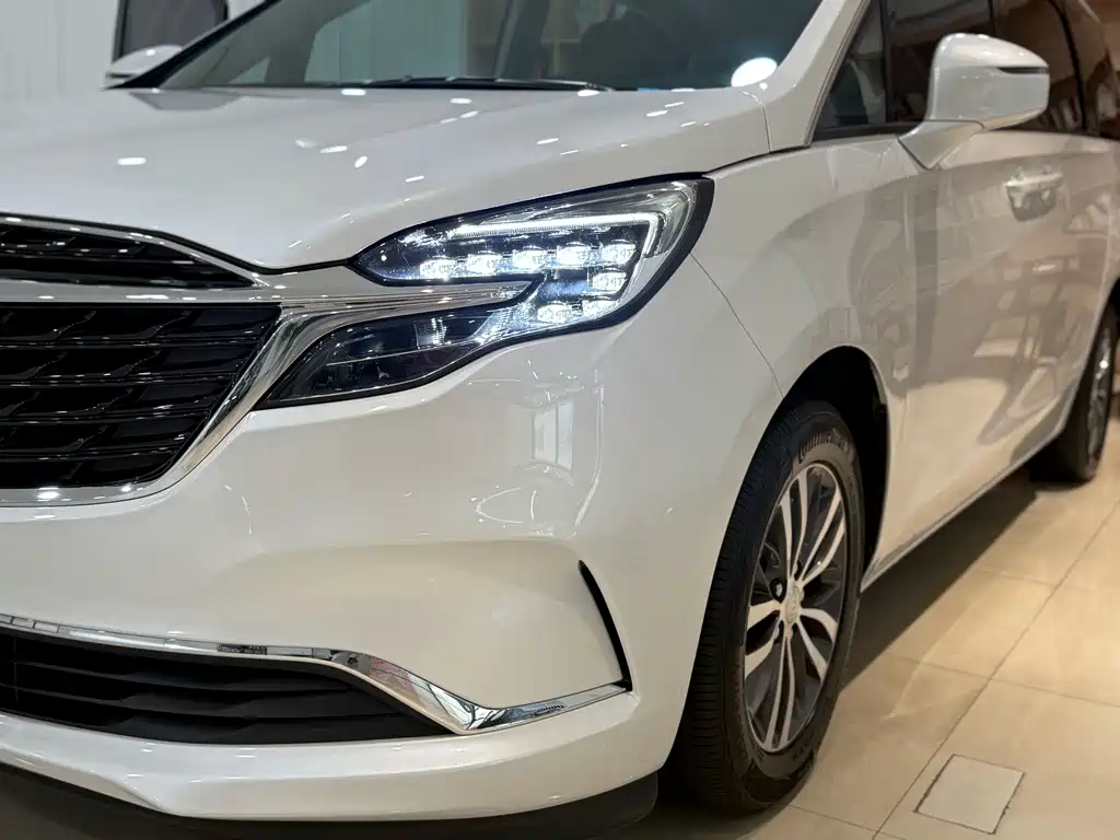 Buick GL8 — миниатюра 5