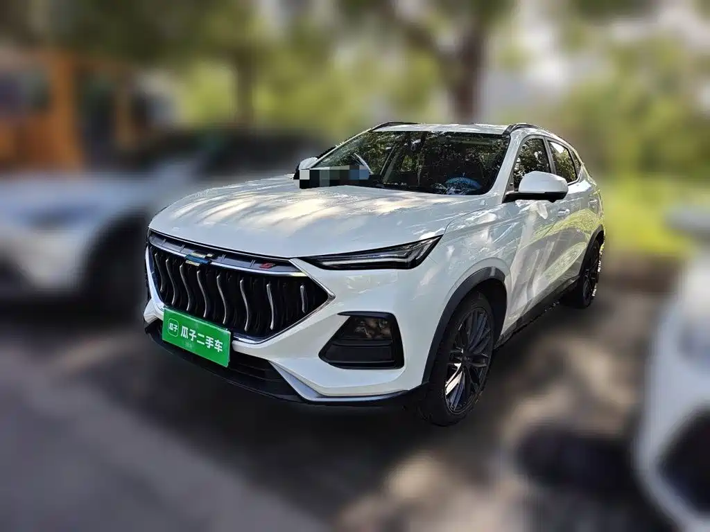 Oshan Oushang X5 — миниатюра 2