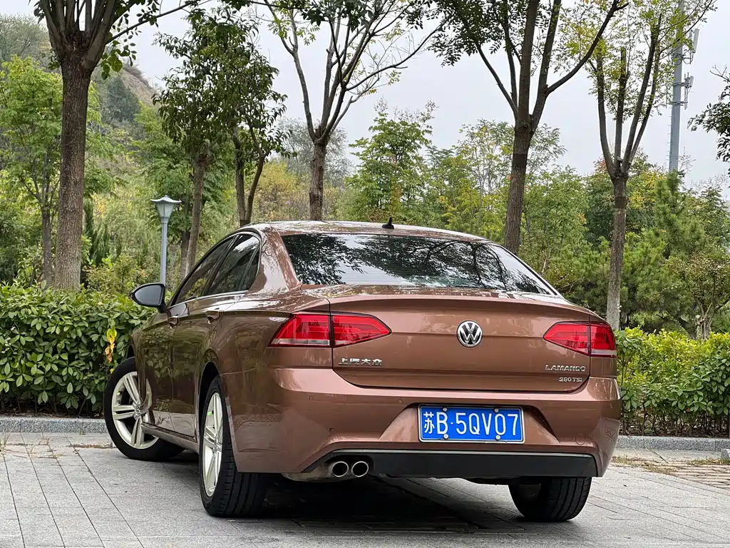 Volkswagen Lamando — миниатюра 7