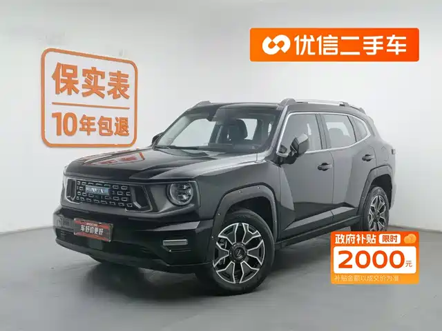 HAVAL SECOND GENERATION BIG DOG NEW ENERGY 2023
