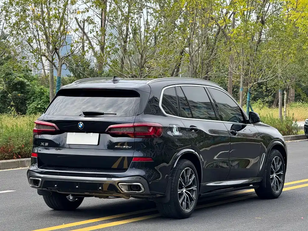 BMW X5 — миниатюра 8